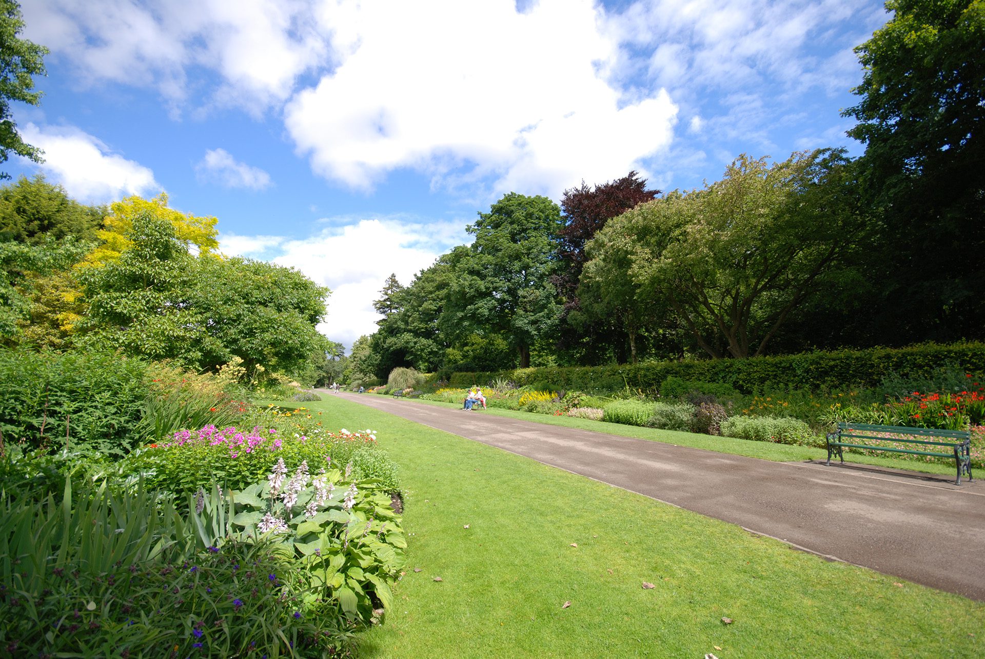 Image of flower border in Bute Park.