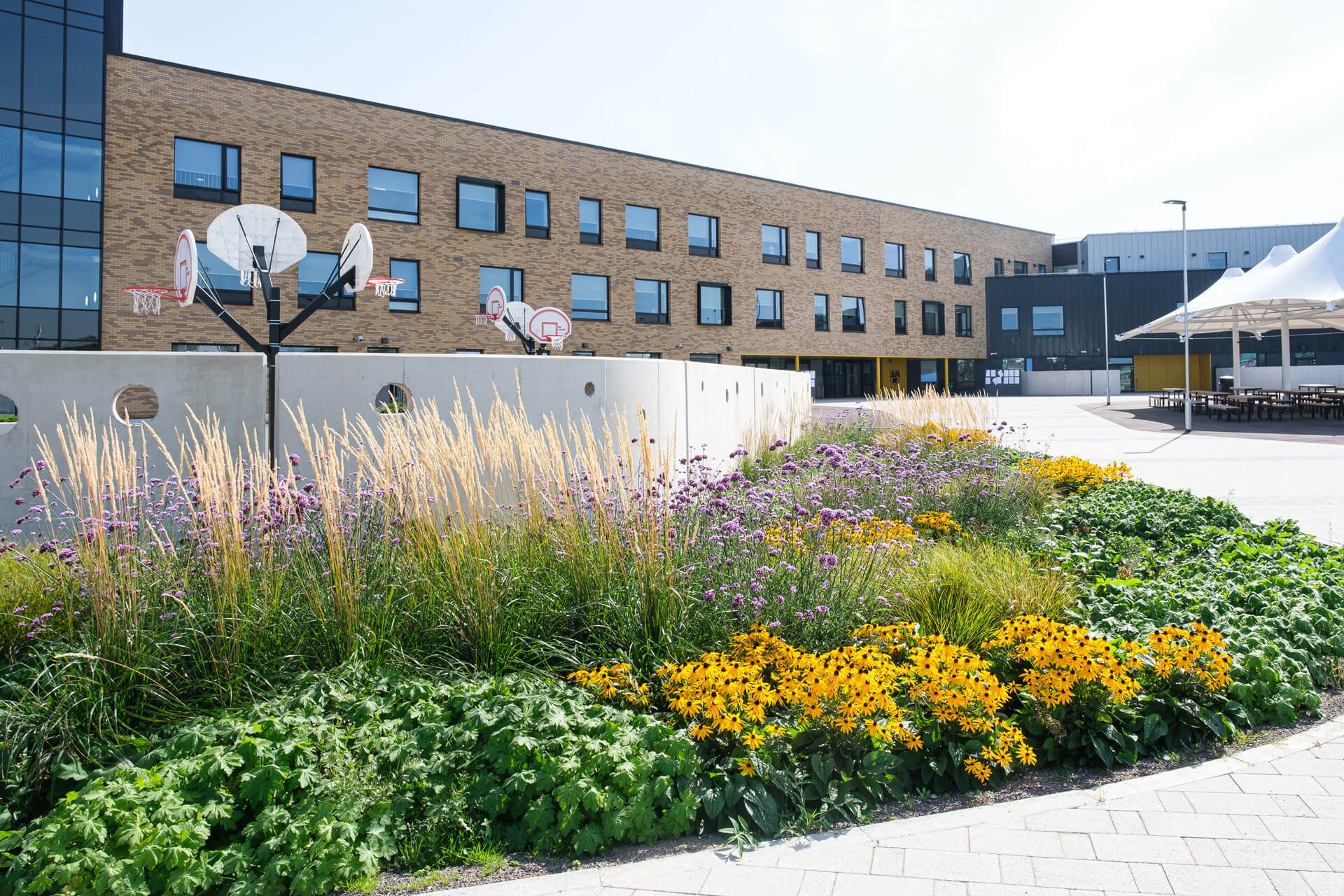 Image of the flower garden in Fitzalan High School