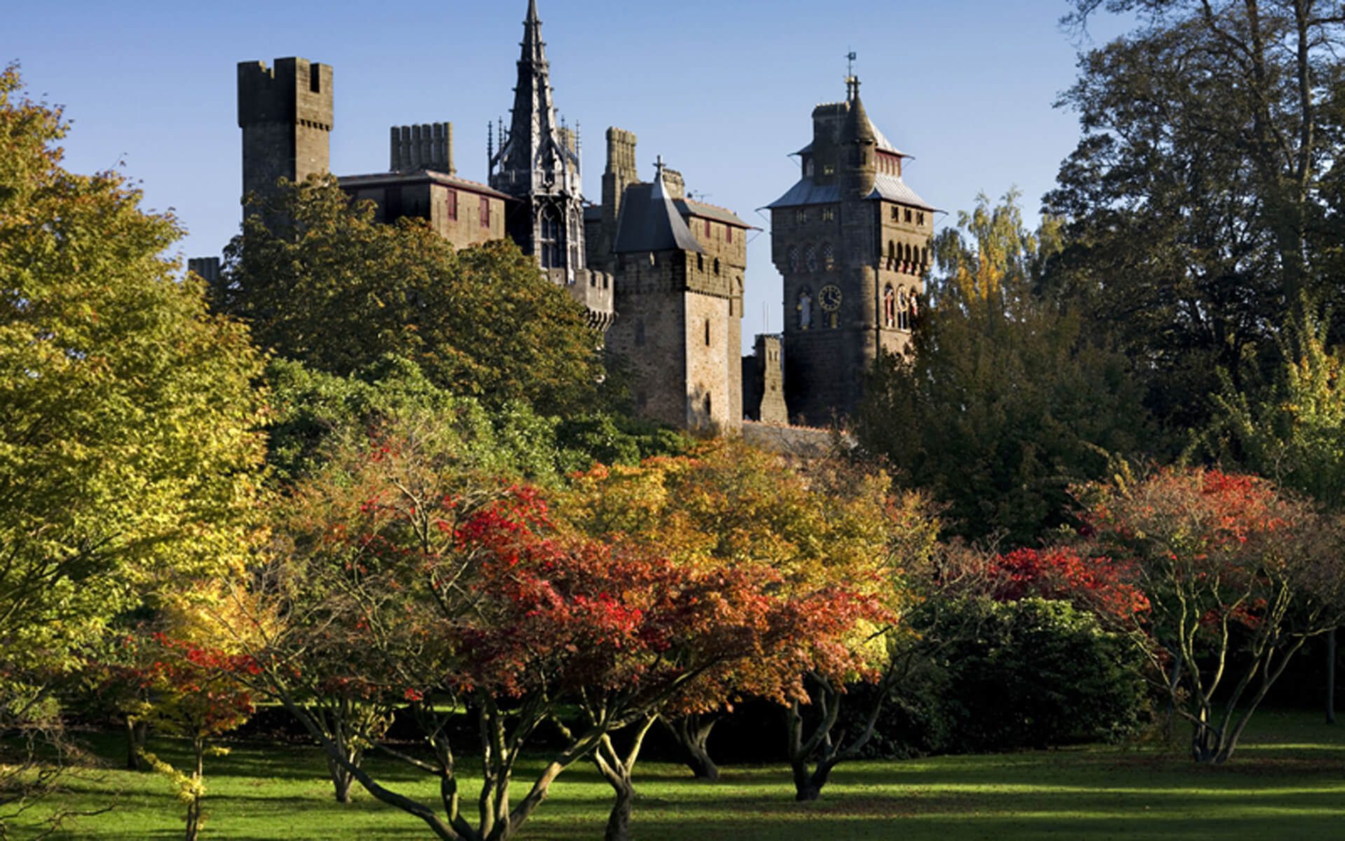 Image of Cardiff Castle from the grounds at Bute Park