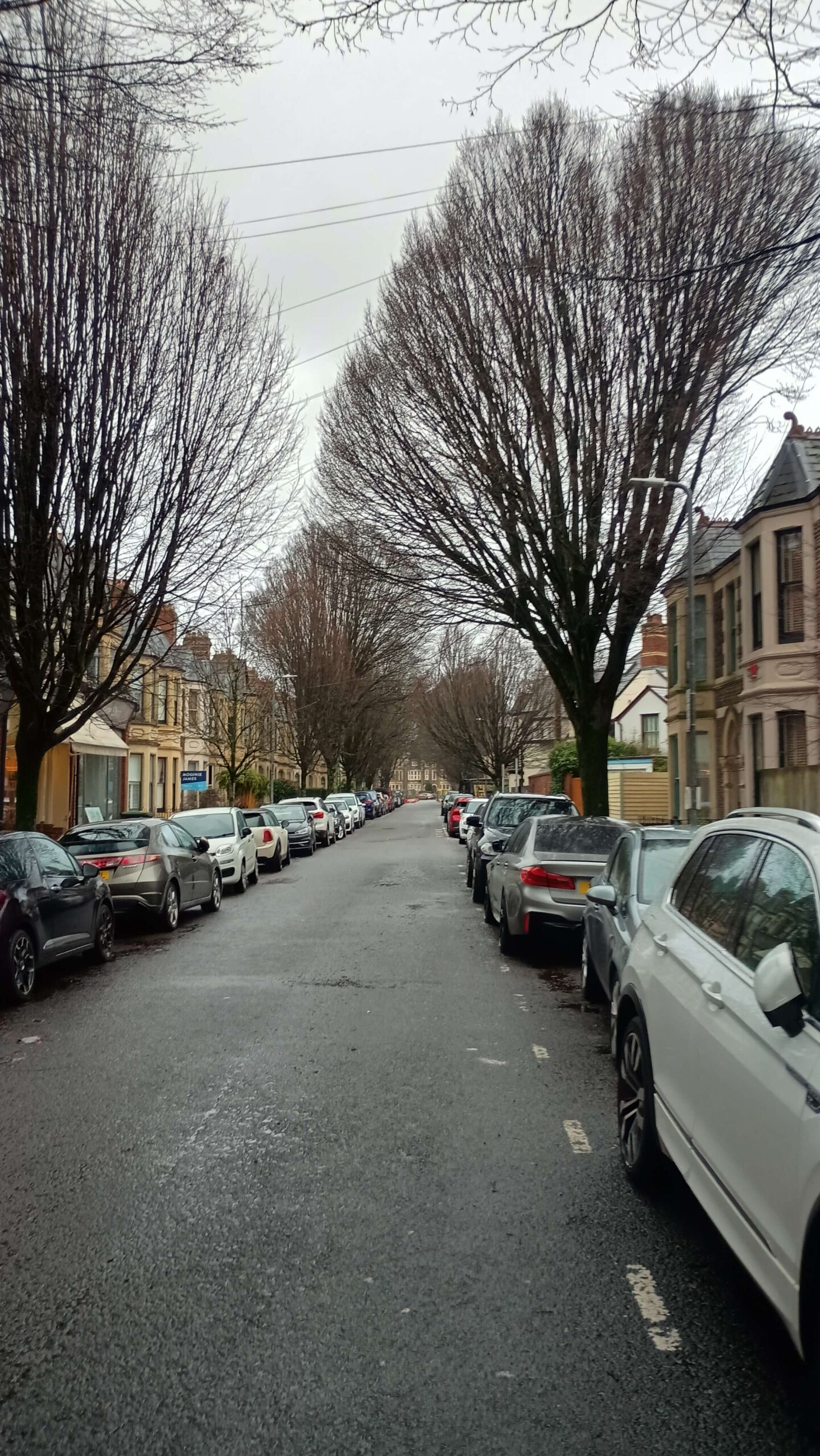 Image of Pontcanna Street, Pontcanna